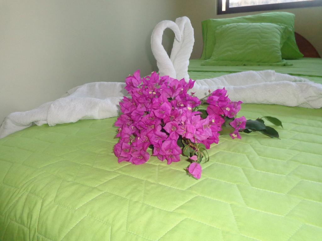 Hostal Casa Cascada بويرتو أيورا المظهر الخارجي الصورة